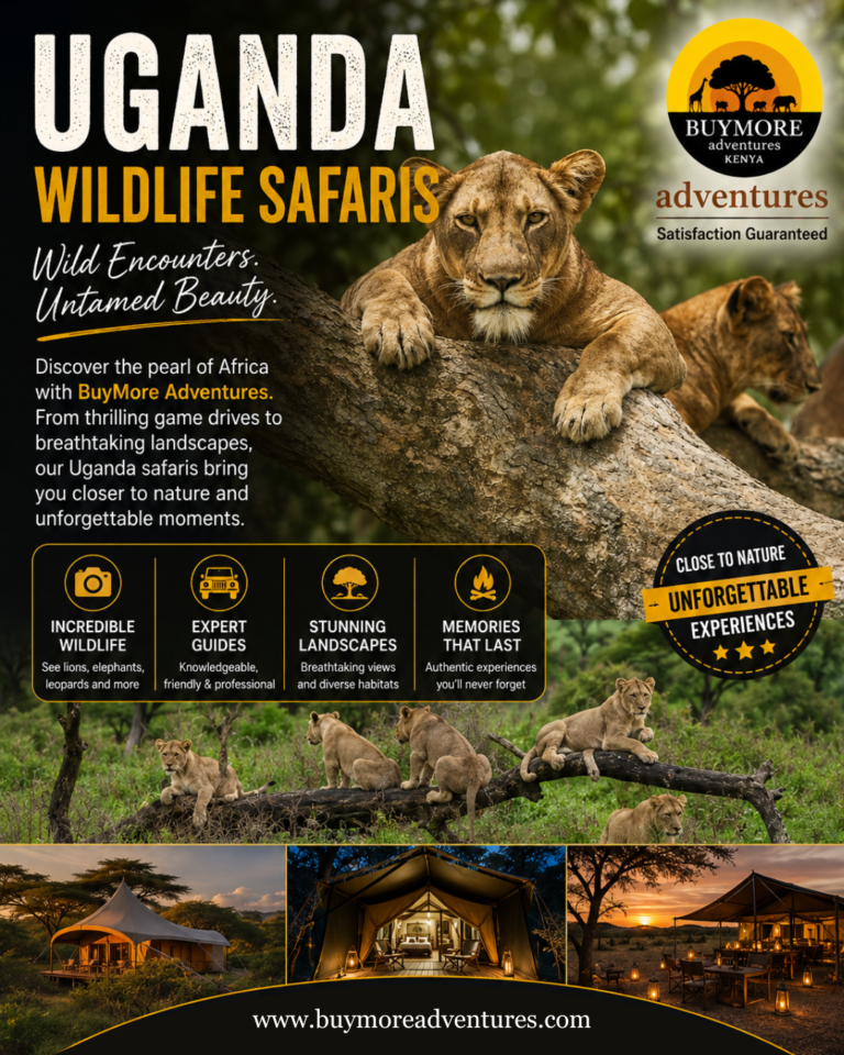 Discover Uganda Wildlife Safari: The Ultimate East Africa Adventure